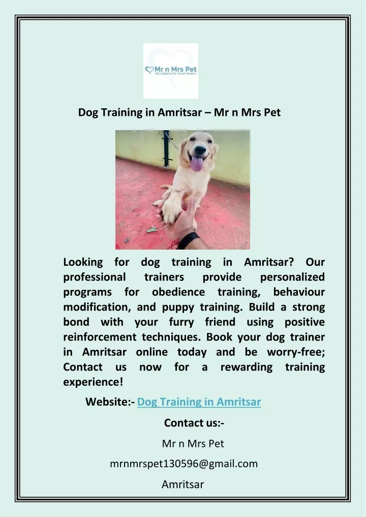 dog training in amritsar mr n mrs pet