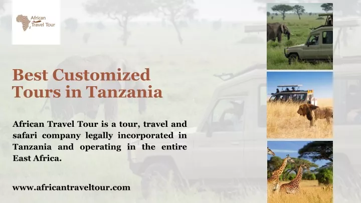 best customized tours in tanzania
