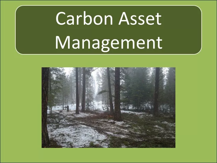 carbon asset management