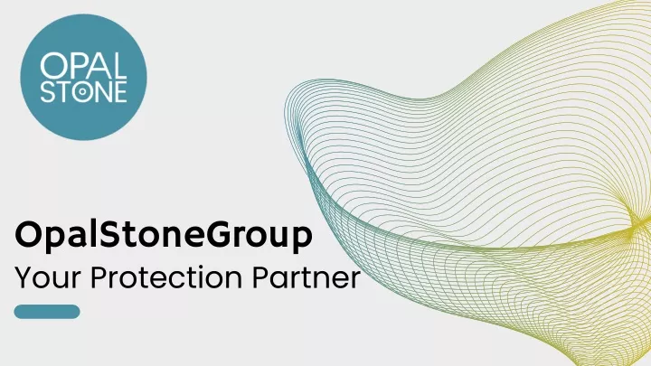 opalstonegroup your protection partner
