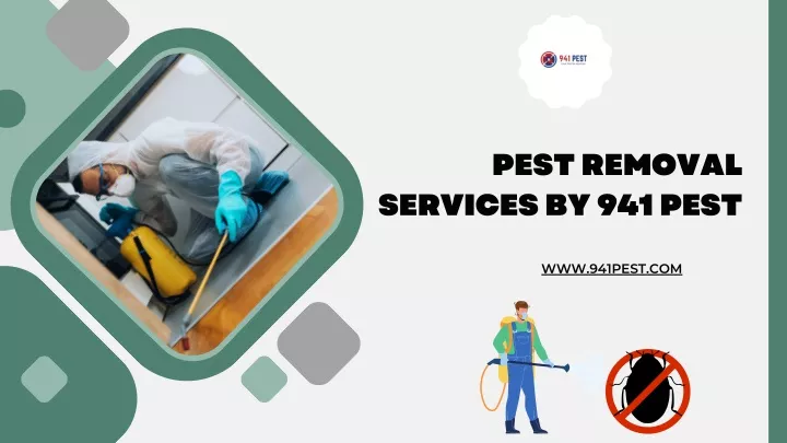 pest removal services by 941 pest