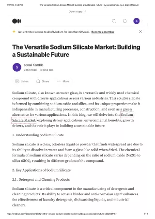 Sodium Silicate Market