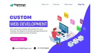 Custom Website Development