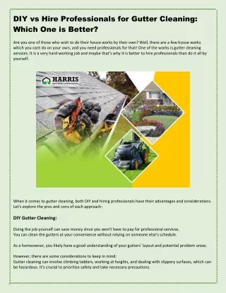 diy vs hire professionals for gutter cleaning
