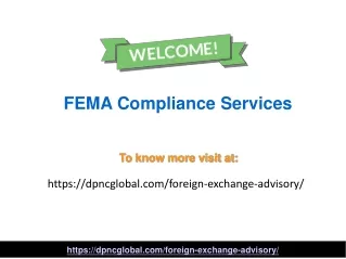 fema compliance services