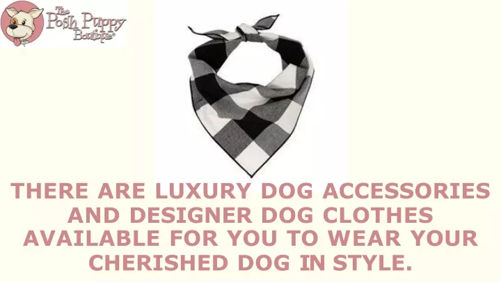 there are luxury dog accessories and designer