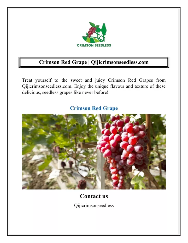 crimson red grape qijicrimsonseedless com