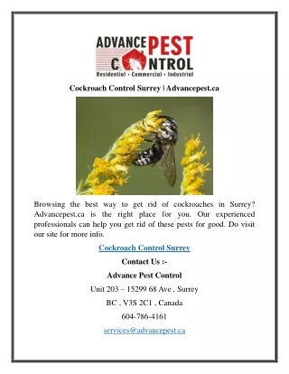 cockroach control surrey advancepest ca