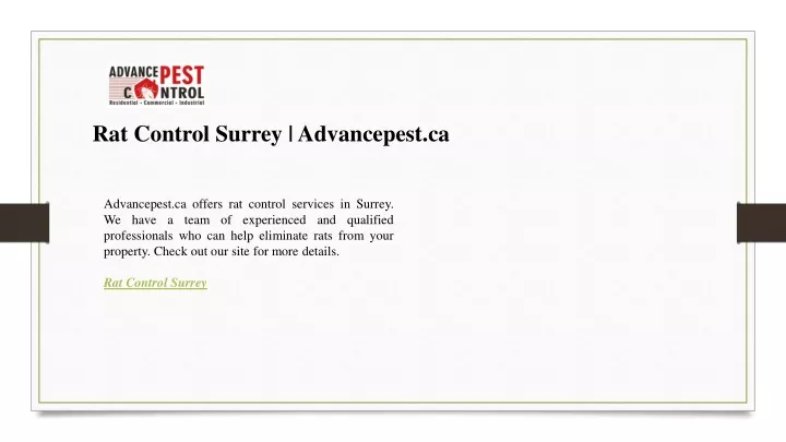 rat control surrey advancepest ca