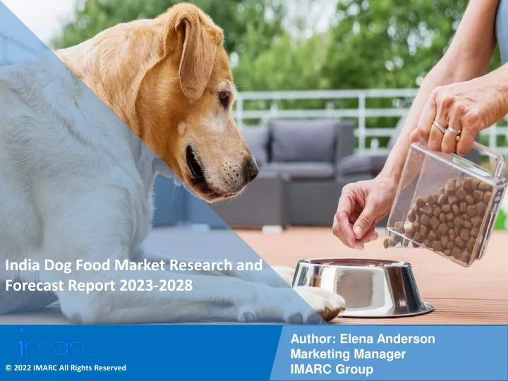 india dog food market research and forecast