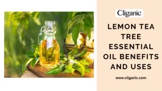 Lemon Tea Tree Essential Oil Benefits and Uses