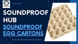 Sound Proof Egg Cartoons