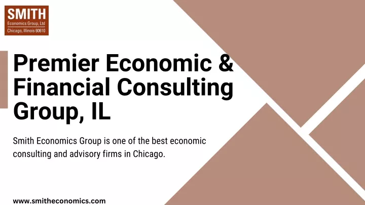 premier economic financial consulting group il