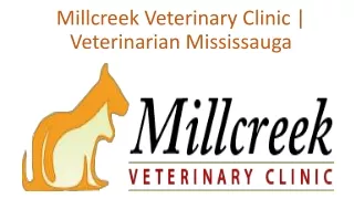 Millcreek Veterinary Clinic  Veterinarian Mississauga