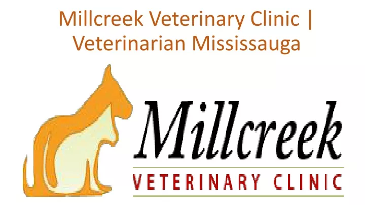 millcreek veterinary clinic veterinarian mississauga