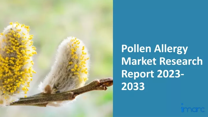pollen allergy market research report 2023 2033