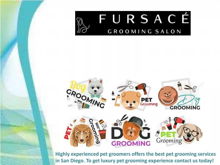 highly experienced pet groomers offers the best