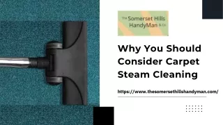 Professional Carpet Steam Cleaning Services Advantages | The Somerset Hills Hand
