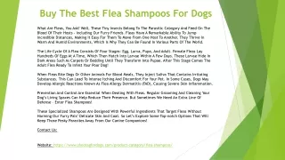 Buy The Best Flea Shampoos For Dogs