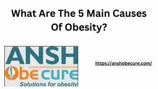 What Are The 5 Main Causes Of Obesity