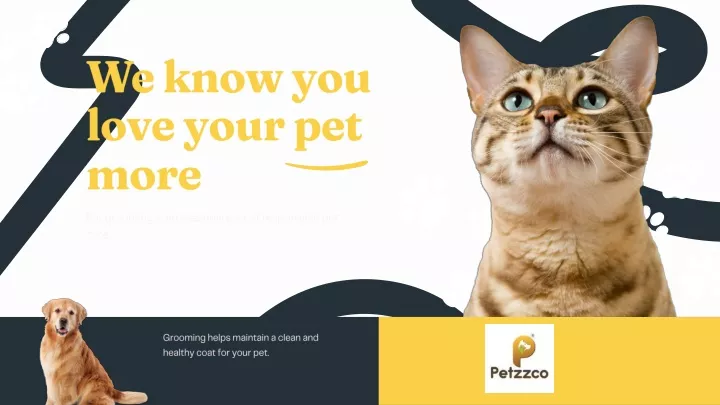 we know you love your pet more