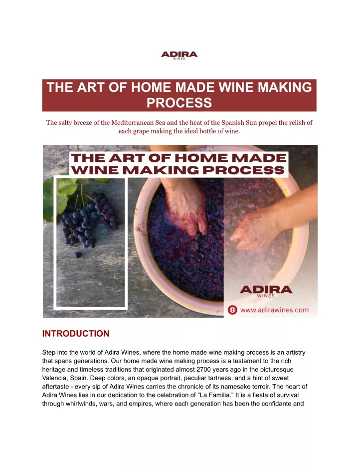 the art of home made wine making process