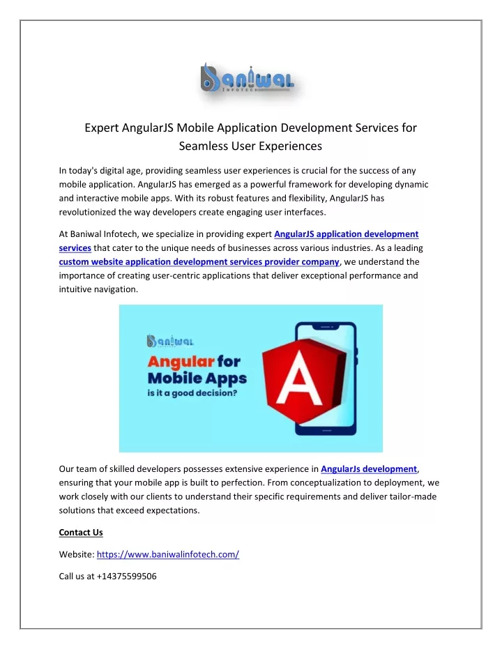 expert angularjs mobile application development