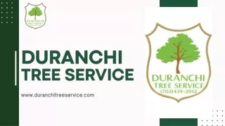 Affordable Tree Removal Services 1(702)439-2012 Duranchi Tree Service