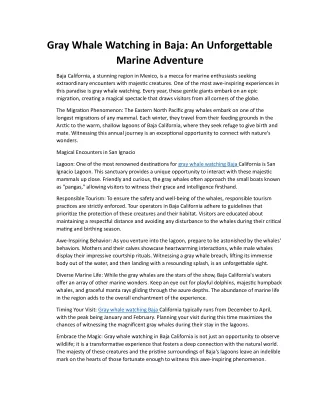gray whale watching in baja an unforgettable