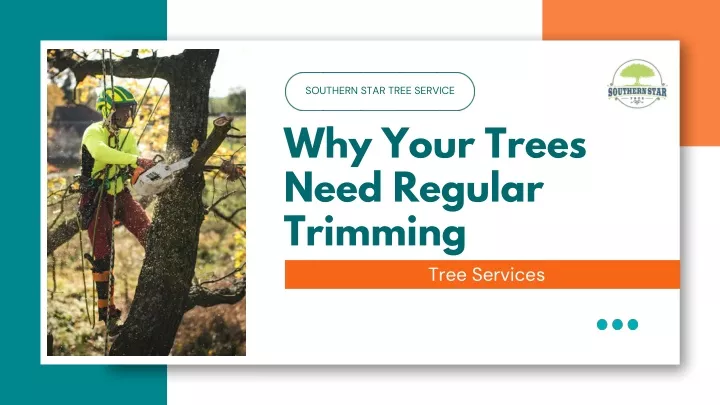 southern star tree service