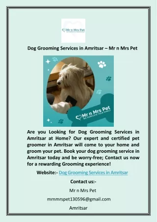 Dog Grooming Services in Amritsar