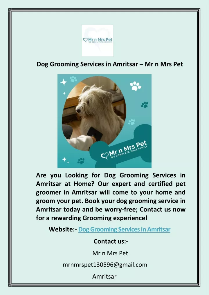 dog grooming services in amritsar mr n mrs pet