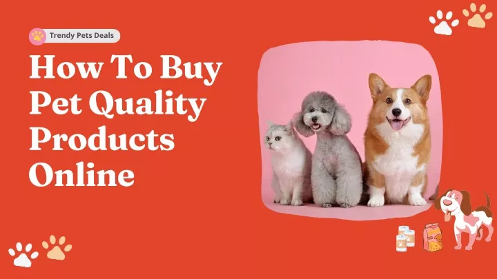 trendy pets deals how to buy pet quality products