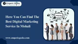 Here You Can Find The Best Digital Marketing Service In Mohali