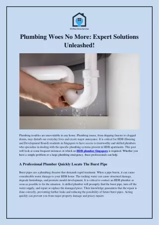Plumbing Woes No More: Expert Solutions Unleashed