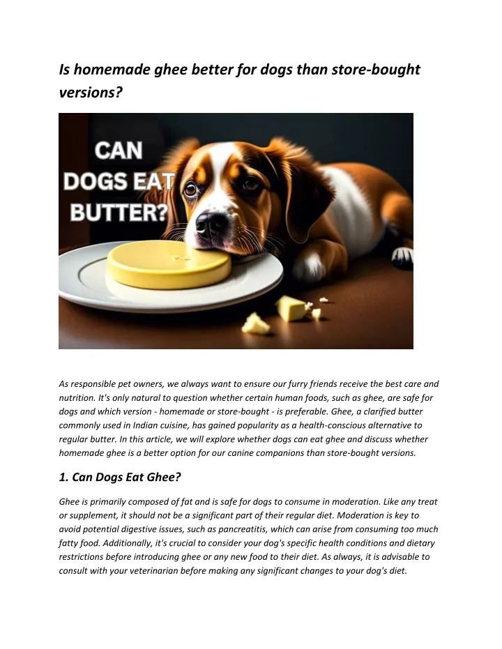 is homemade ghee better for dogs than store