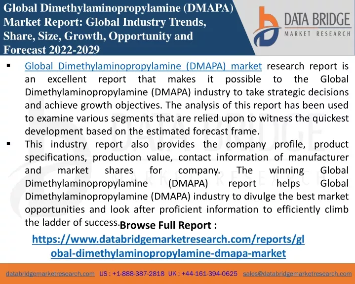 global dimethylaminopropylamine dmapa market
