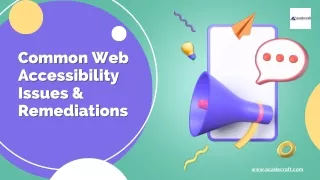 Common Web Accessibility Issues & Remediations