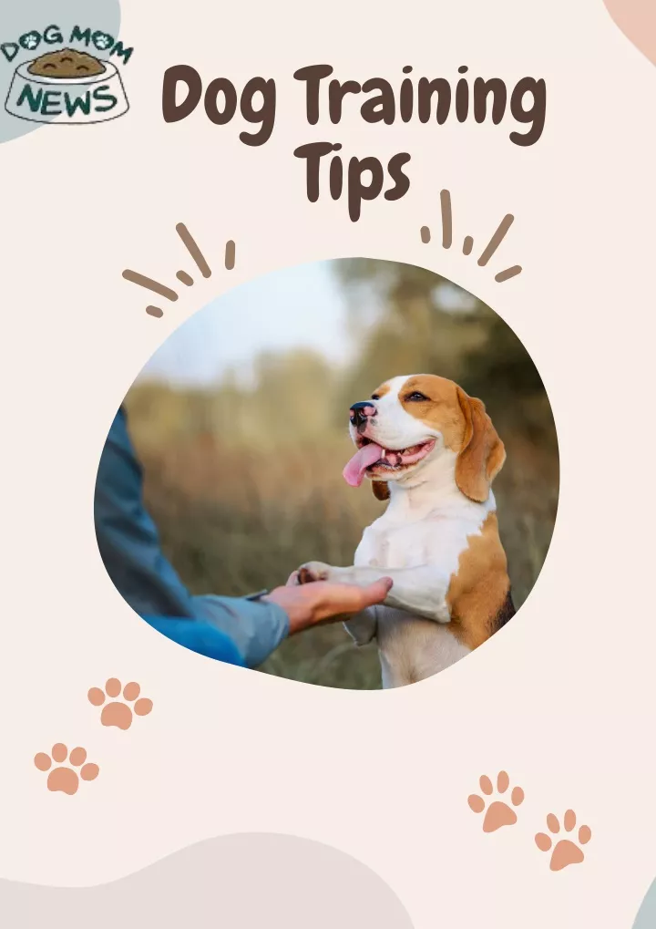 dog training tips