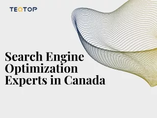 Search Engine Optimization Experts in Canada