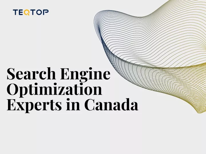 search engine optimization experts in canada