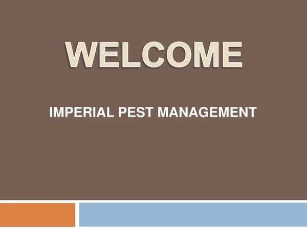 Best Pre Purchase Termite Inspections in Tamala Park