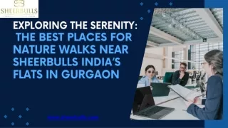 Exploring the Serenity The Best Places for Nature Walks near Sheerbulls India’s Flats in Gurgaon