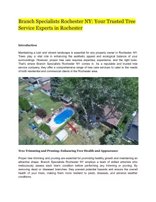 Branch Specialists Rochester NY_ Your Trusted Tree Service Experts in Rochester