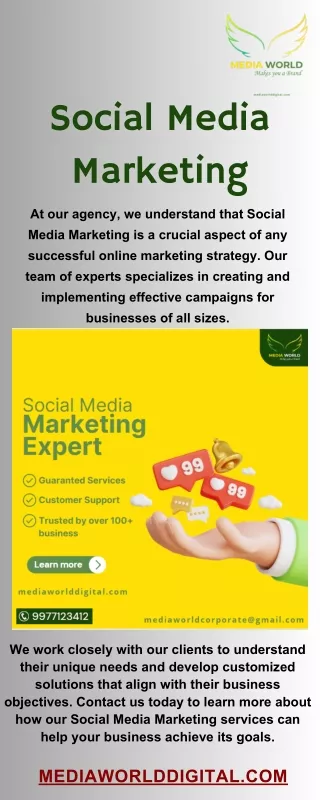 Social Media Marketing Services at Media World