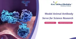 Avi-tag Biotinylated Antibody Service