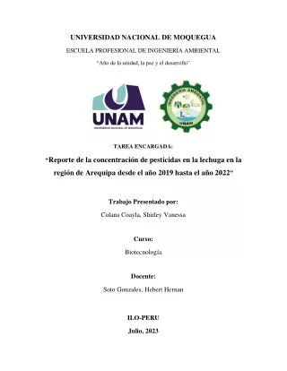 Reporte de la concentración de pesticidas en la lechuga en la región de Arequipa desde el año 2019 hasta el año 2022