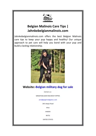 Belgian Malinois Care Tips Jahnkebelgianmalinois.com
