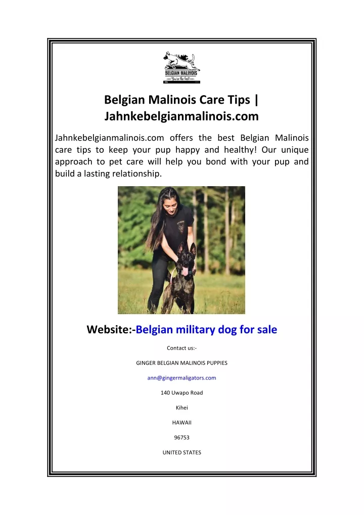 belgian malinois care tips jahnkebelgianmalinois