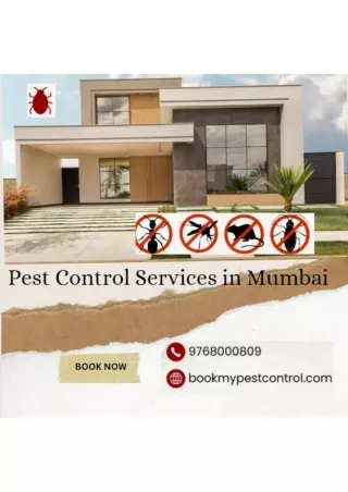 Pest Control Services in Mumbai